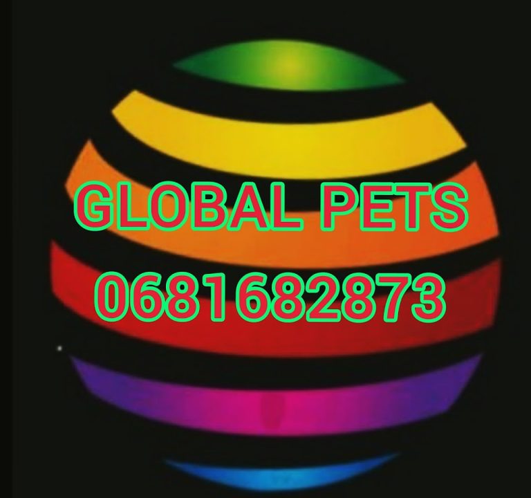 LIqHvE 08Ot1gRRPUNeigw1024 h960 p k nodummy 768x720