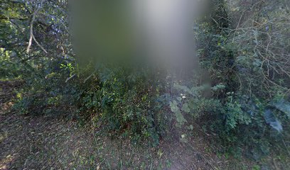 panoidCvrThCwFwNJAjlRqeAxyWwcb clientsearch.gws prod.gpsw408h240yaw346.11783pitch0thumbfov100dummy