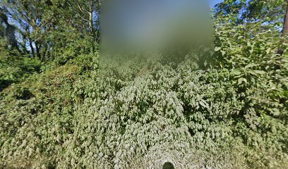 panoidS4jEikS78kjTBBc21Powjgcb clientsearch.gws prod.gpsw408h240yaw117.130356pitch0thumbfov100dummy
