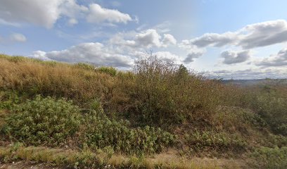 panoidTDf6pmjwjNyvoNQhwOsXAgcb clientsearch.gws prod.gpsw408h240yaw284.10974pitch0thumbfov100dummy