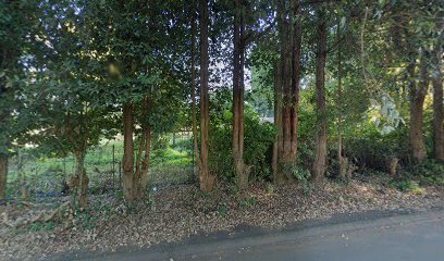panoidW4E1CTb3sRNumVedmuHQYAcb clientsearch.gws prod.gpsw408h240yaw213.57756pitch0thumbfov100dummy 2