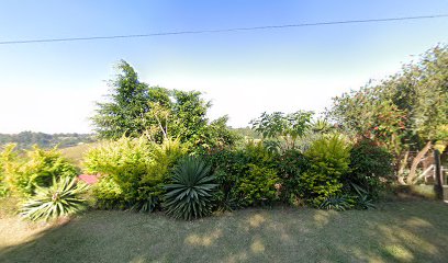 panoidYebjHJ8Q7jCd6rojWEKSUwcb clientsearch.gws prod.gpsw408h240yaw133.14601pitch0thumbfov100dummy