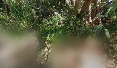 panoidfbAgRsnsxXMDIgvdwbyd2gcb clientsearch.gws prod.gpsw408h240yaw158.73244pitch0thumbfov100dummy 8