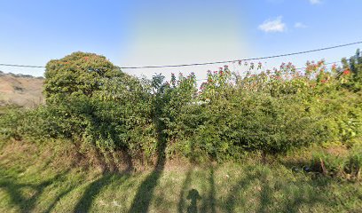 panoidgxF8xDlBFuIYhuExwlU1ggcb clientsearch.gws prod.gpsw408h240yaw142.25995pitch0thumbfov100dummy