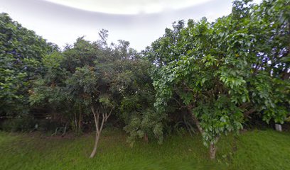 panoidi xaAVhZ1TWpvvv fkXmmAcb clientsearch.gws prod.gpsw408h240yaw254.67563pitch0thumbfov100dummy