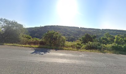panoidnKkWf3sFdKnsYLfKxtdTVAcb clientsearch.gws prod.gpsw408h240yaw320.66205pitch0thumbfov100dummy 5