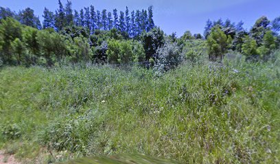 panoidsToAG6WrDXWgS8xxGrigHwcb clientsearch.gws prod.gpsw408h240yaw21.82204pitch0thumbfov100dummy