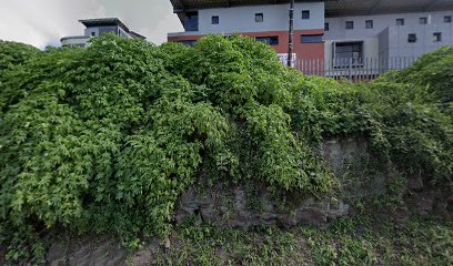 panoidts7lkU6NManpemRj9mIE4wcb clientsearch.gws prod.gpsw408h240yaw341.62186pitch0thumbfov100dummy