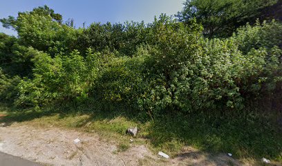 panoidw31 atQjkvrJ1OiuuEJ58Qcb clientsearch.gws prod.gpsw408h240yaw290.70245pitch0thumbfov100dummy