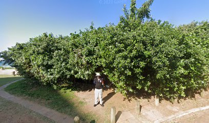 panoidwoXMQJTVIcpDBsDRqpuDfwcb clientsearch.gws prod.gpsw408h240yaw135.65294pitch0thumbfov100dummy