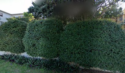 panoidyFSnZpo0EmygPHCvFkZ 0Acb clientsearch.gws prod.gpsw408h240yaw298.623pitch0thumbfov100dummy