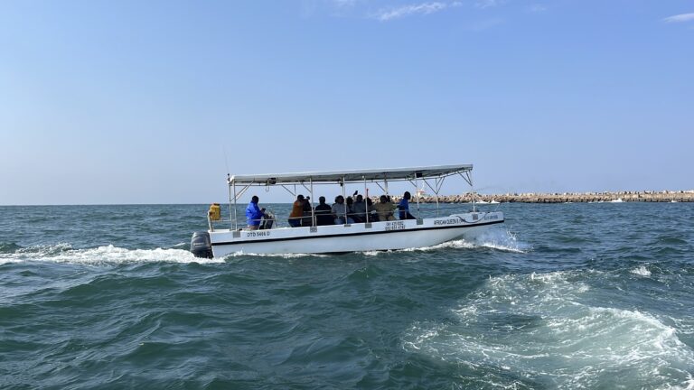 IMG 22851 768x432